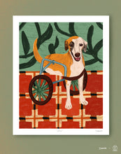 Load image into Gallery viewer, ZEUS