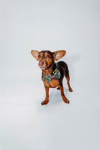 Load image into Gallery viewer, TERRY